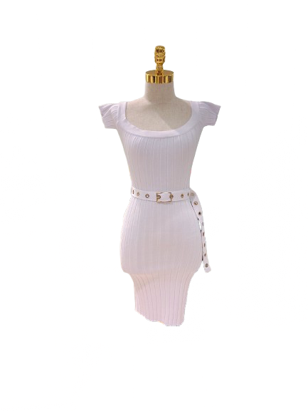 Belted Lux Dress
