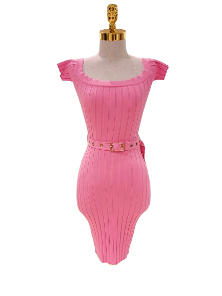 Belted Lux Dress